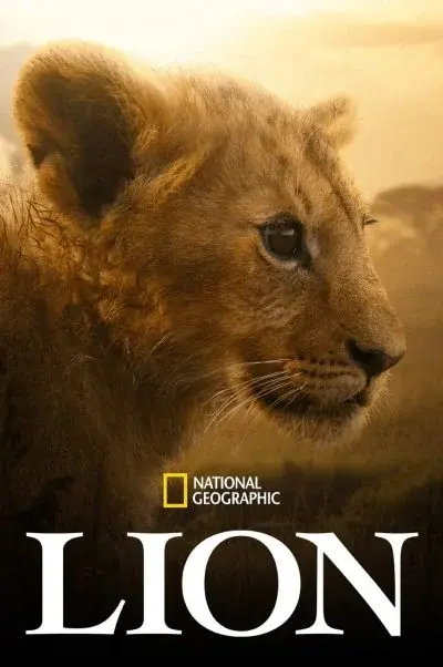شیر ۲۰۲۶