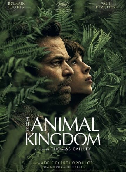 فیلم پادشاهی حیوانات-the animal kingdom