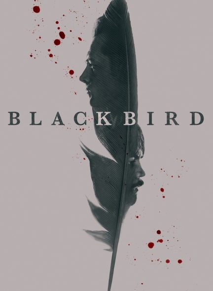 سریال پرنده سیاه-black bird