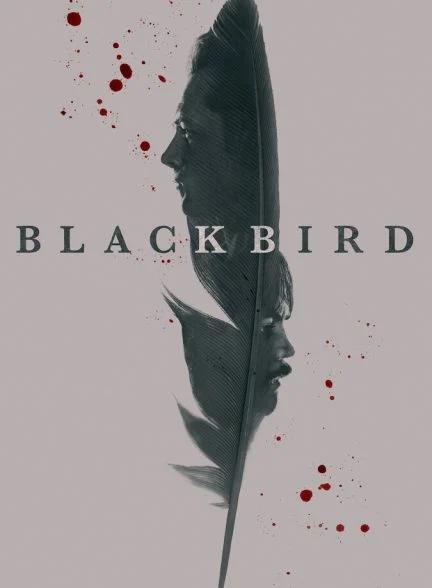 سریال پرنده سیاه-black bird