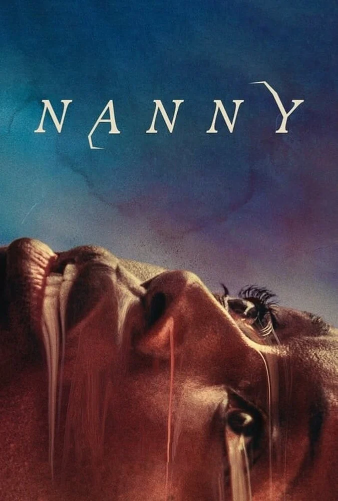 فیلم پرستار بچه-nanny