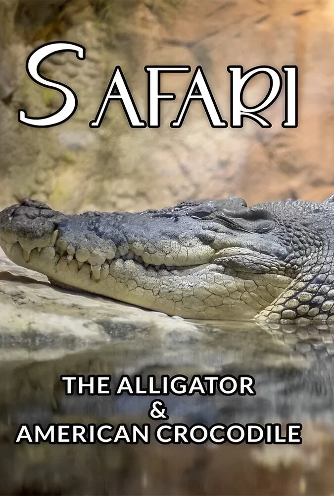 فیلم سافاری: تمساح و کروکودیل آمریکایی-safari: the alligator & american crocodile