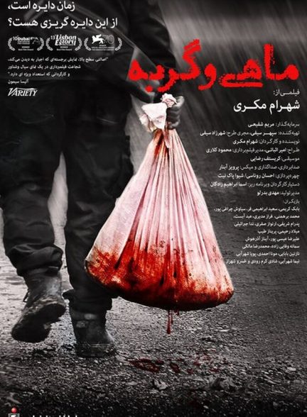 فیلم ماهی و گربه