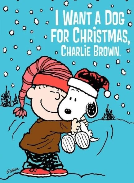 فیلم من یک سگ برای کریسمس می خوام چارلی براون-i want a dog for christmas, charlie brown