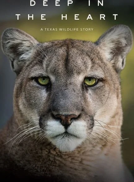 فیلم در اعماق قلب: داستانی از حیات وحش تگزاس-deep in the heart: a texas wildlife story