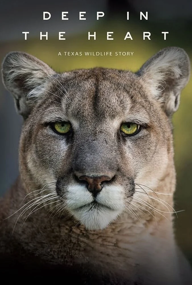 فیلم در اعماق قلب: داستانی از حیات وحش تگزاس-deep in the heart: a texas wildlife story