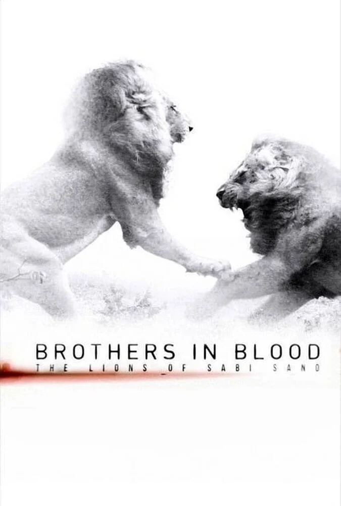 فیلم برادران تنی: شیر‌های سابی سند-brothers in blood: the lions of sabi sand