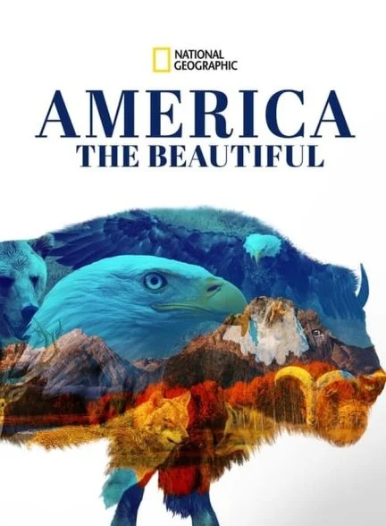 سریال آمریکای زیبا-america the beautiful