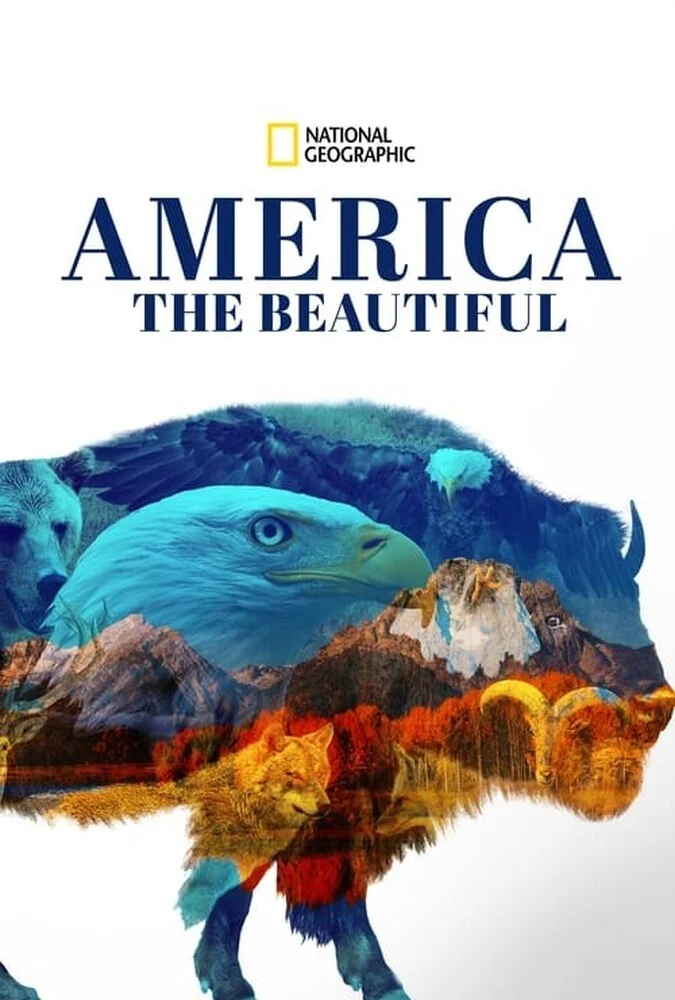 سریال آمریکای زیبا-america the beautiful