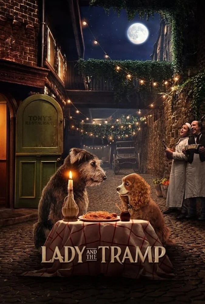 پوستر فیلم بانو و ولگرد 2019