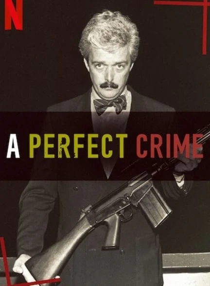 سریال جنایت بی عیب و نقص-rohwedder: a perfect crime