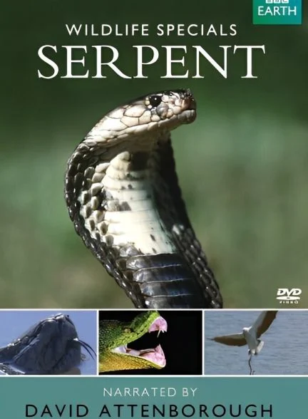 فیلم مستند حیوانات استثنایی: مار-wildlife specials: serpent