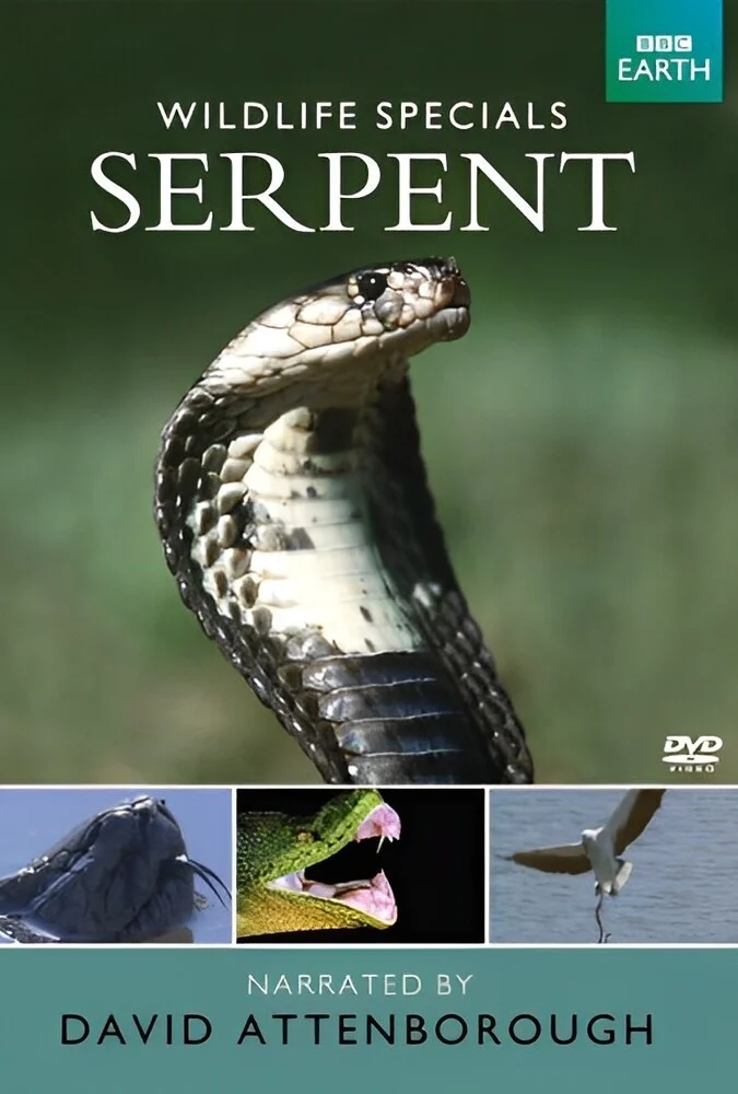 فیلم مستند حیوانات استثنایی: مار-wildlife specials: serpent