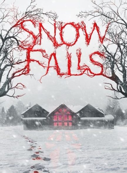 فیلم بوران-snow falls
