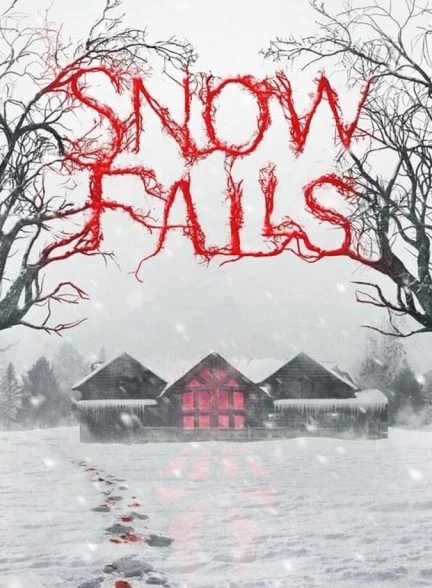 فیلم بوران-snow falls
