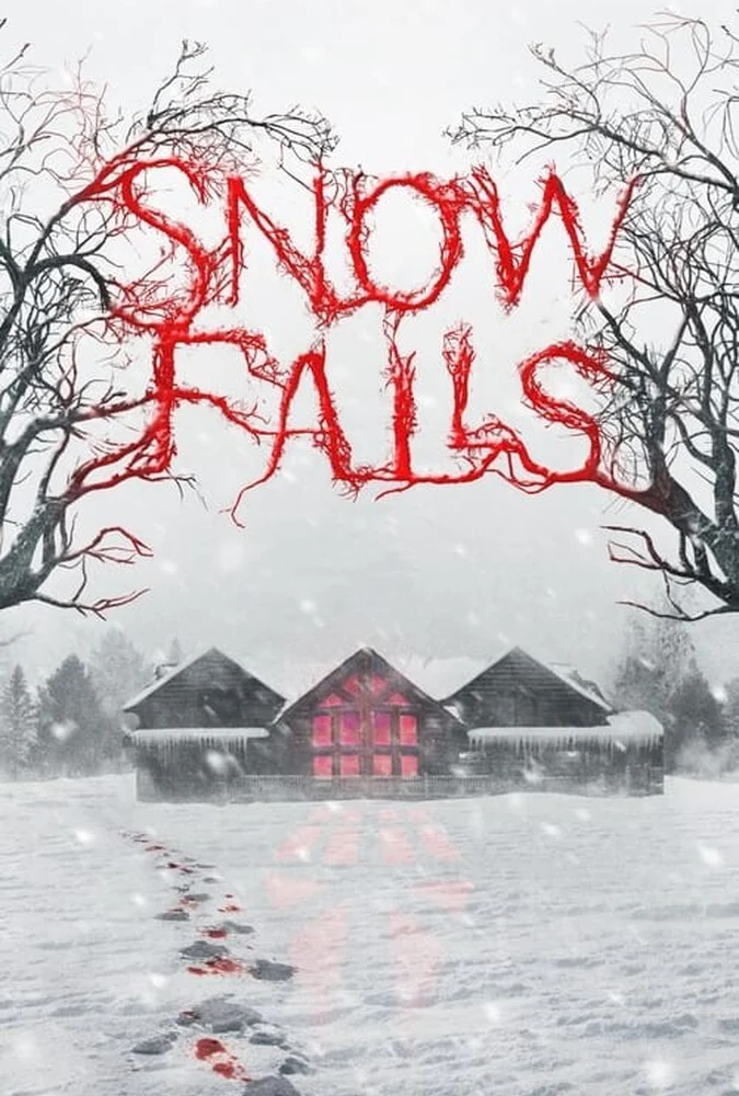 فیلم بوران-snow falls