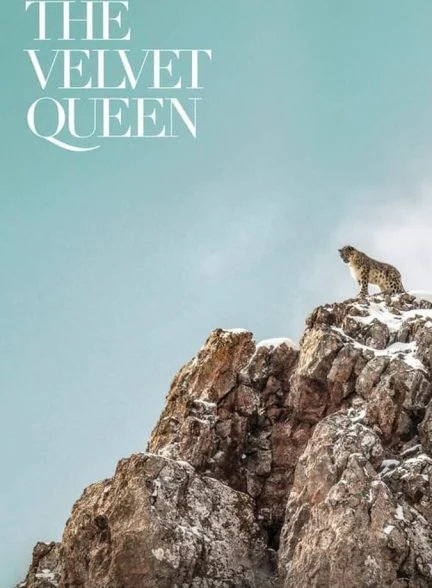 فیلم ملکه مخملی-the velvet queen