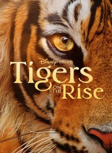 فیلم ببرهای در حال ظهور-tigers on the rise