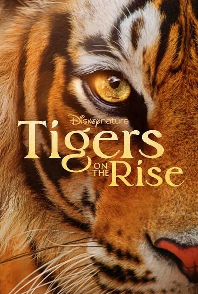 فیلم ببرهای در حال ظهور-tigers on the rise