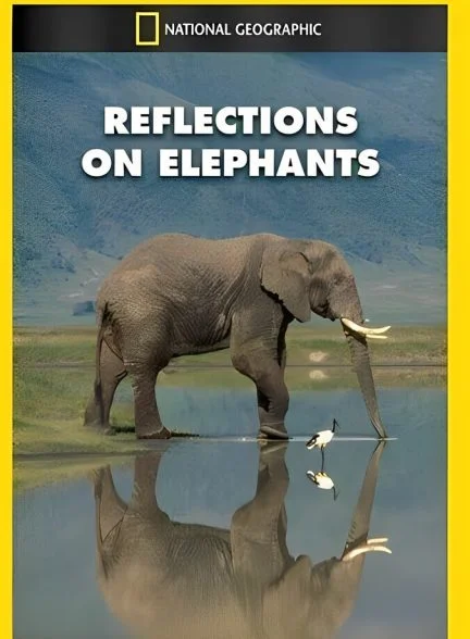 فیلم بازتاب فیل‌ها-reflections on elephants