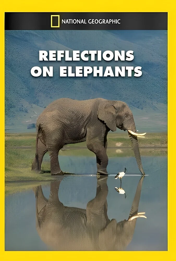 فیلم بازتاب فیل‌ها-reflections on elephants