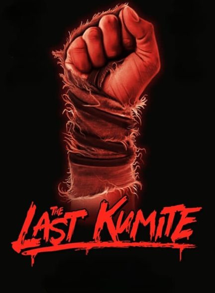 فیلم آخرین مبارزه-the last kumite