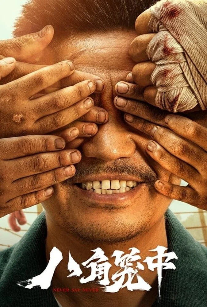 فیلم هرگز نگو هرگز - پوستر