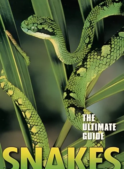 فیلم راهنمای نهایی: مارها-the ultimate guide: snakes