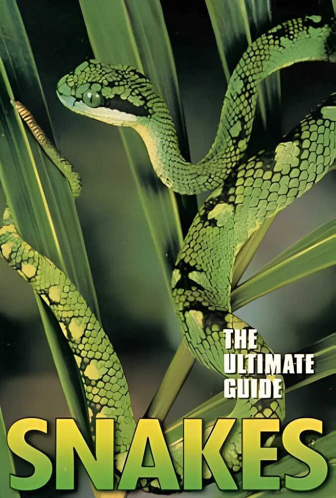 فیلم راهنمای نهایی: مارها-the ultimate guide: snakes