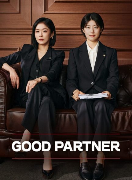 سریال شریک خوب-good partner