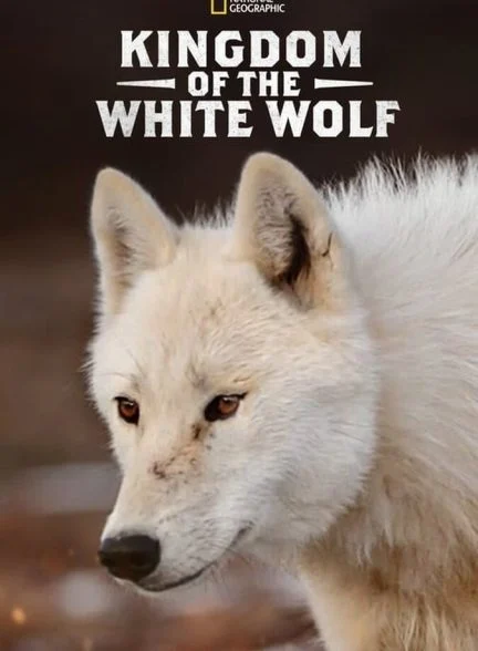سریال قلمروی گرگ سفید-kingdom of the white wolf