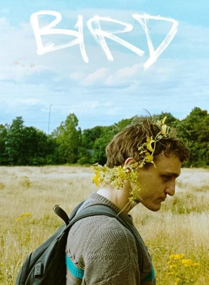 فیلم پرنده-bird