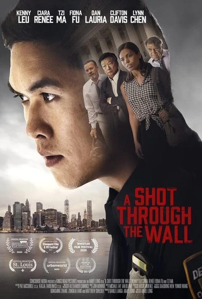 فیلم شلیکی از پس دیوار-a shot through the wall