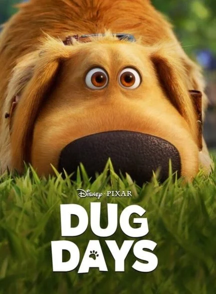 سریال روزهای داگ-dug days