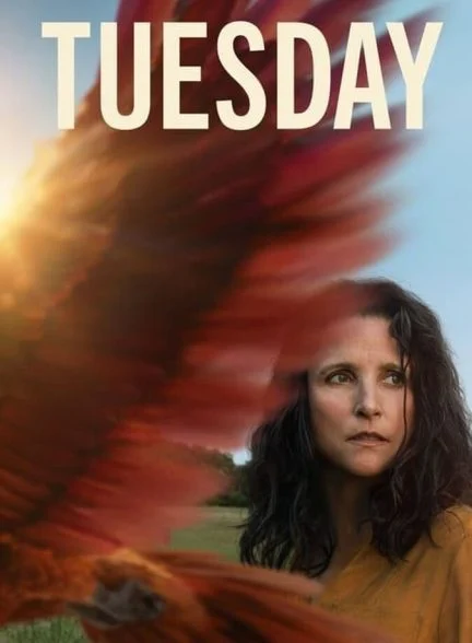 فیلم سه شنبه-tuesday