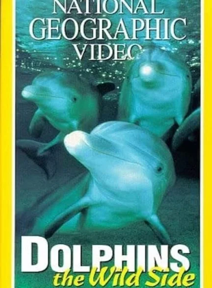 فیلم دلفین‌های وحشی-dolphins: the wild side