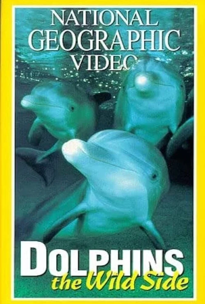فیلم دلفین‌های وحشی-dolphins: the wild side