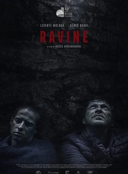 فیلم دره-ravine