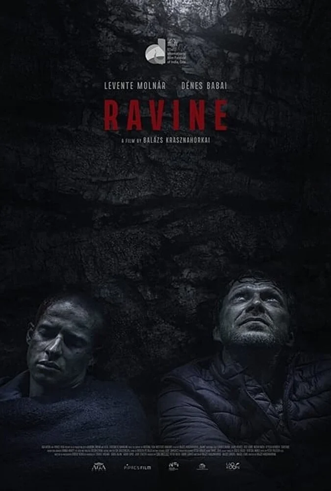 فیلم دره-ravine