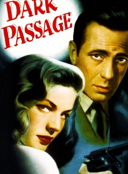 فیلم گذرگاه تاریک-dark passage