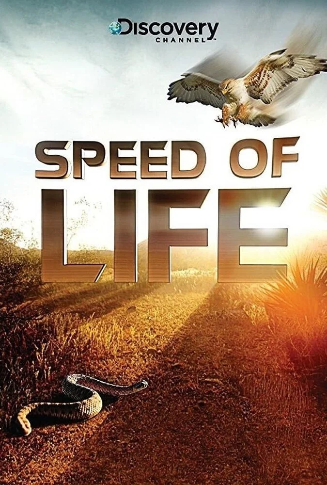 سریال شکار و بقا-speed of life