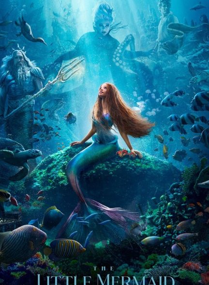 فیلم پری دریایی کوچولو-the little mermaid