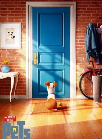 فیلم زندگی مخفی حیوانات-the secret life of pets