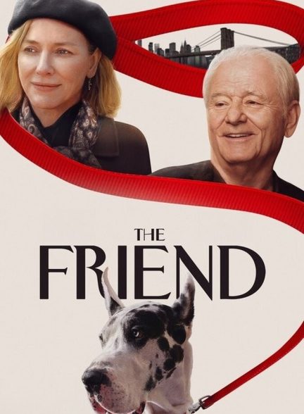 فیلم دوست-the friend