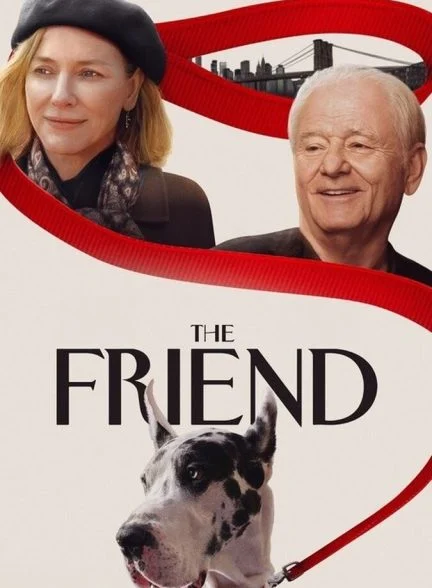 فیلم دوست-the friend