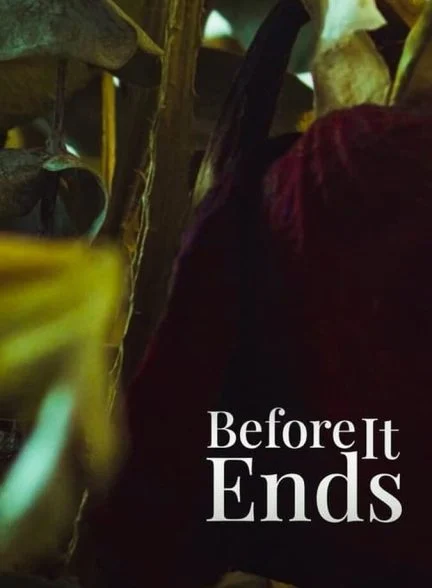 فیلم قبل از اینکه به پایان برسد-before it ends