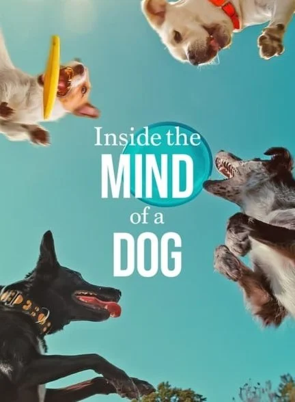 فیلم درون ذهن یک سگ-inside the mind of a dog