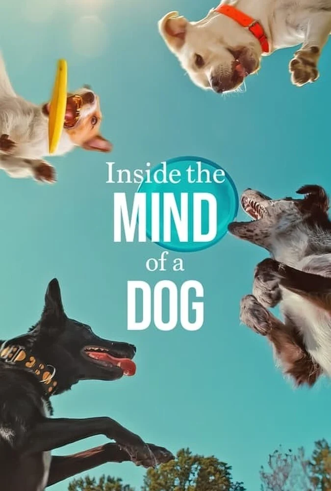 فیلم درون ذهن یک سگ-inside the mind of a dog