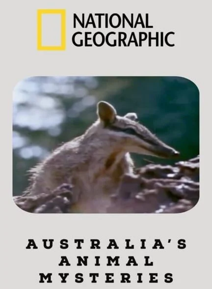 فیلم اسرار جانوران استرالیا-australia’s animal mysteries
