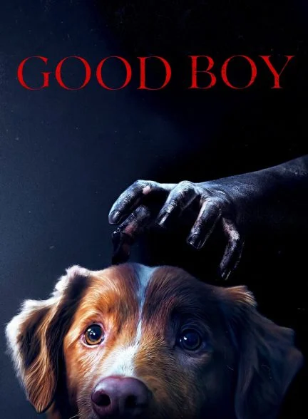 فیلم پسر خوب-good boy